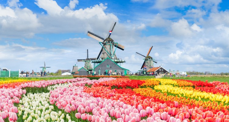 PRVOMAJSKI AMSTERDAM - 5 DNI